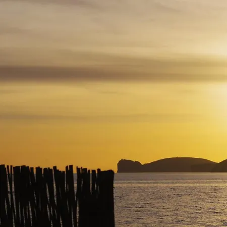 Domo Sant Joan 阿尔盖罗